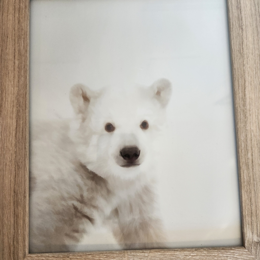 Room Essentials Alabaster Oak Frame w/ Baby Polar Bear Art - Picture 2 of 5